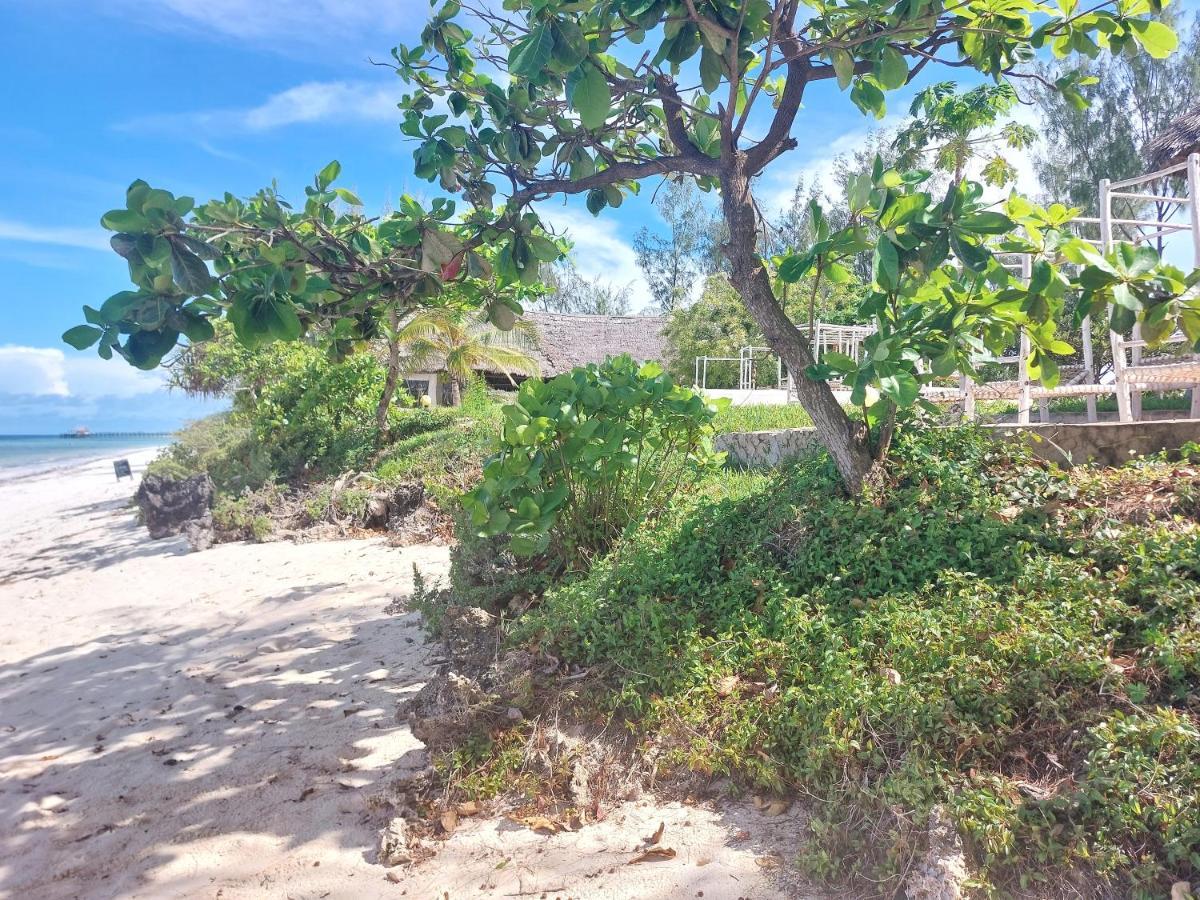 Jaribu Beach Hotel Paje Exterior photo