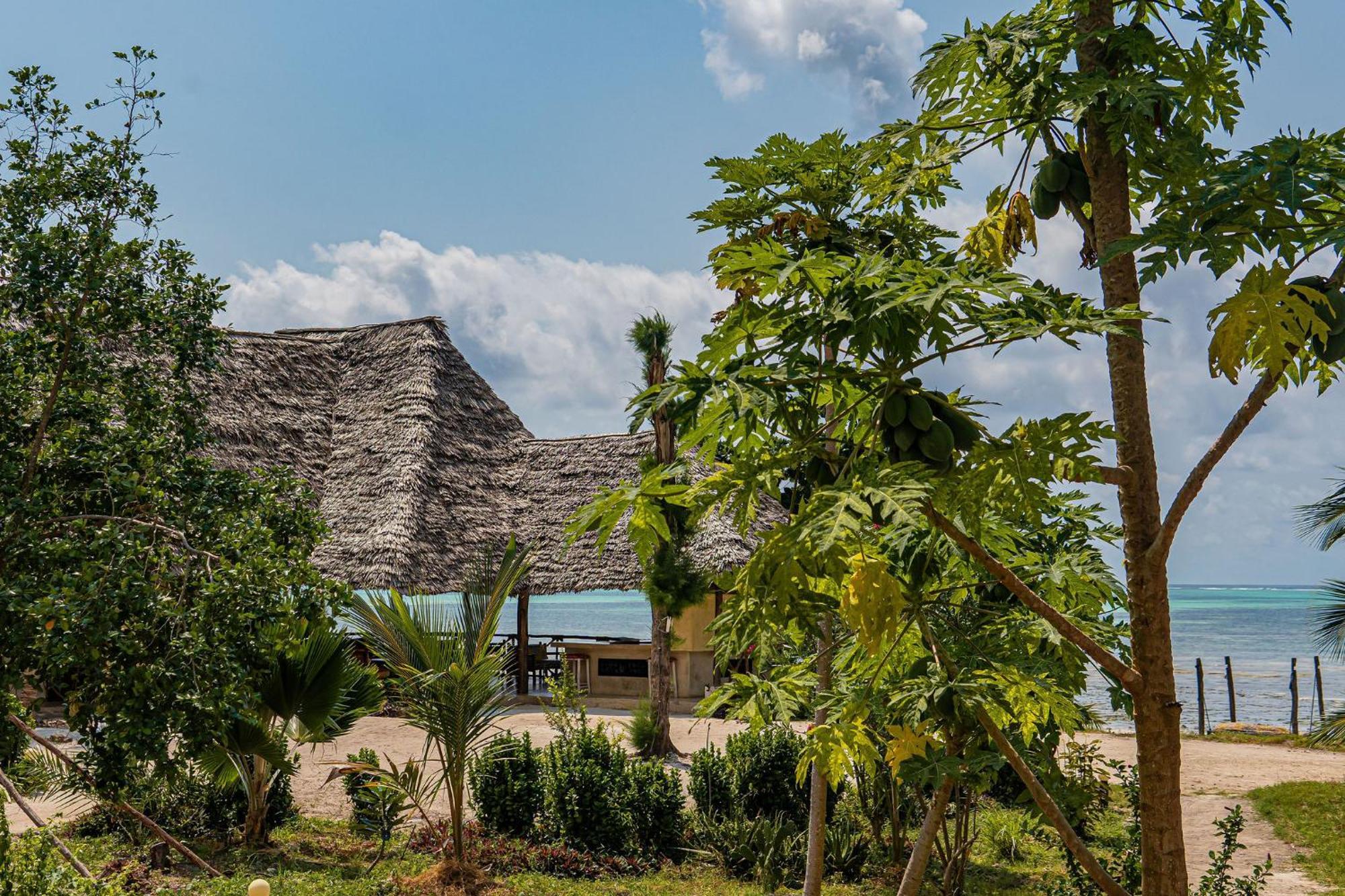 Jaribu Beach Hotel Paje Exterior photo