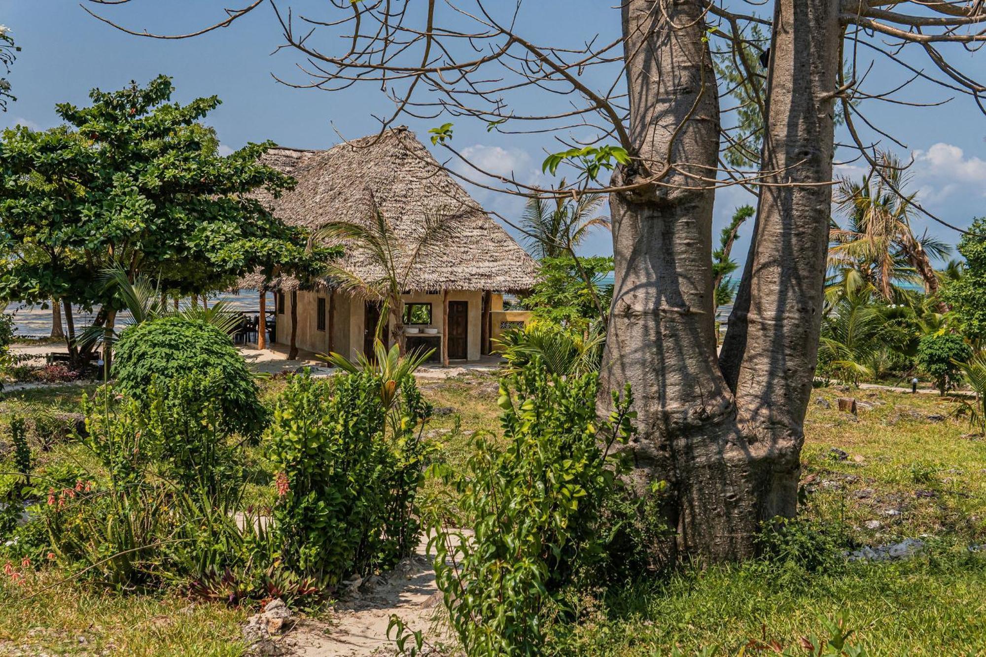 Jaribu Beach Hotel Paje Room photo